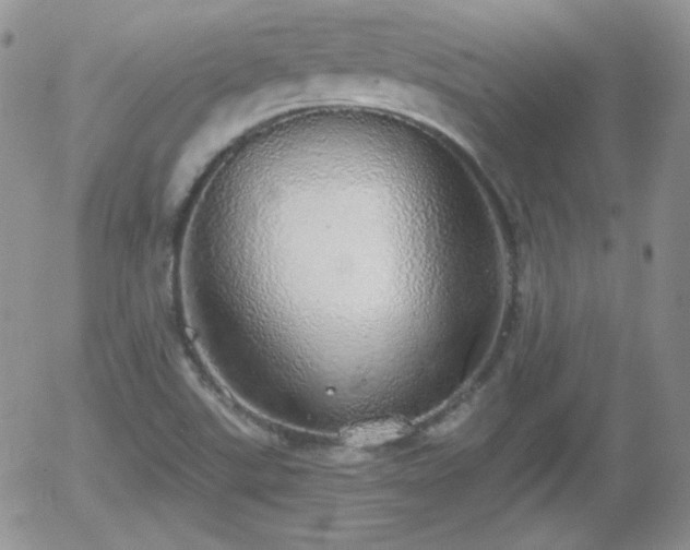 X0000056031507200508221501