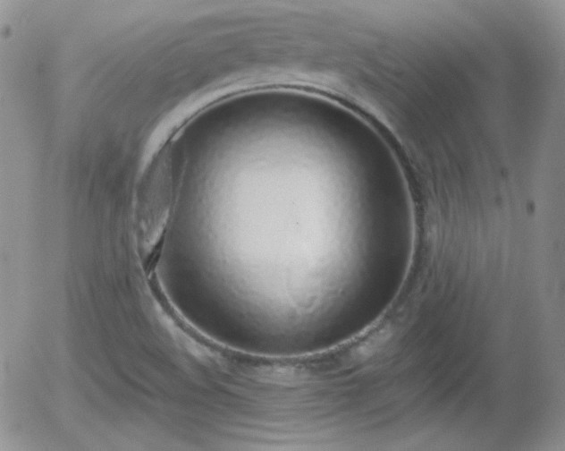 X0000056031508200508221501