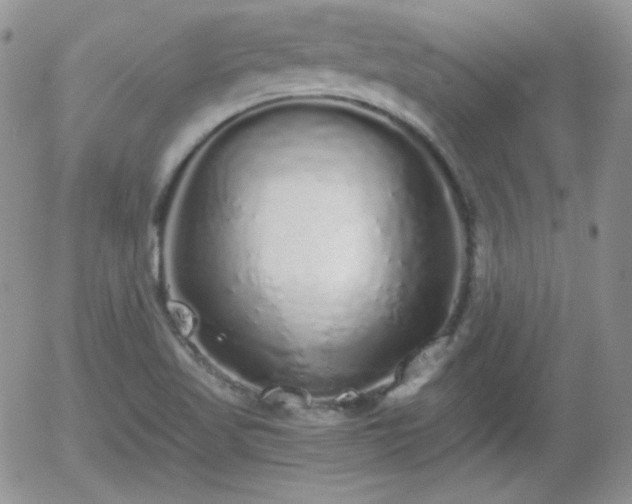 X0000056031509200508221501