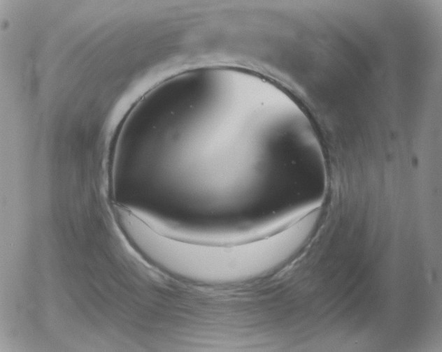 X0000056031512200508221501