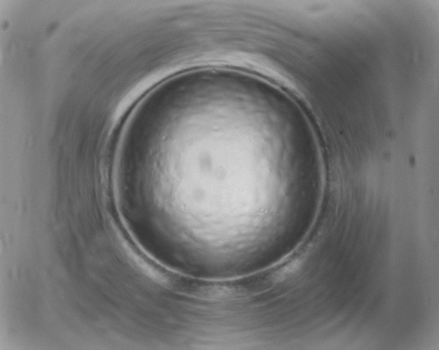 X0000056031517200508221501