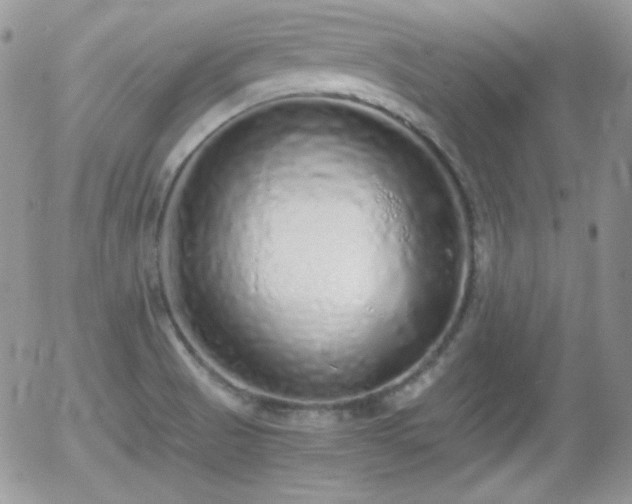 X0000056031521200508221501