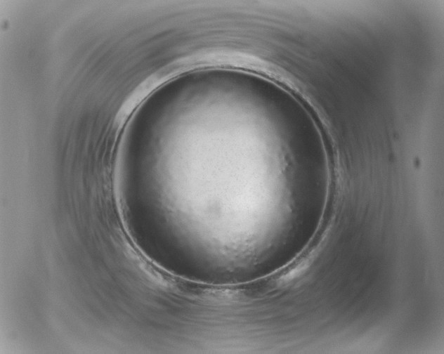 X0000056031529200508221501