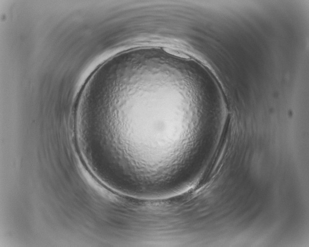 X0000056031531200508221501