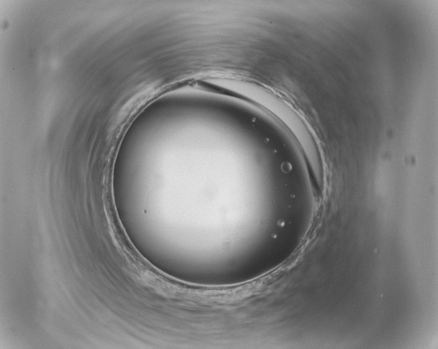 X0000056030001200508261918