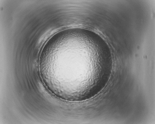 X0000056030002200508261918