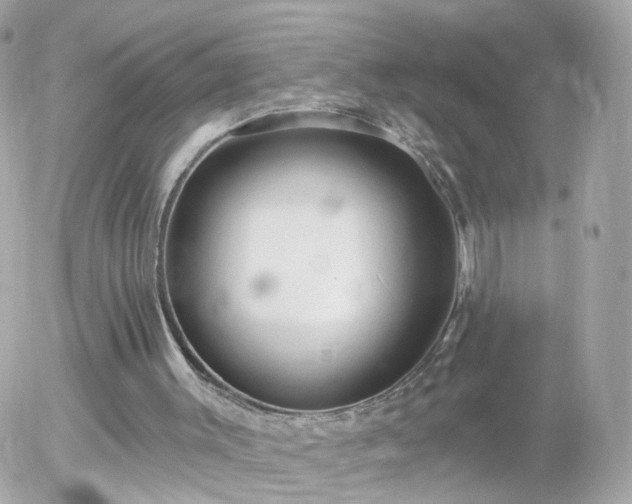 X0000056030003200508261918