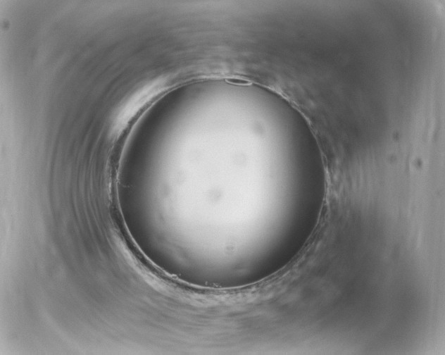 X0000056030005200508261918