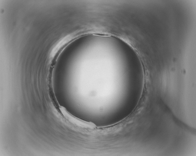 X0000056030007200508261918