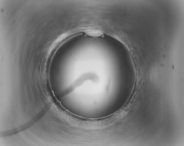 X0000056030008200508261918