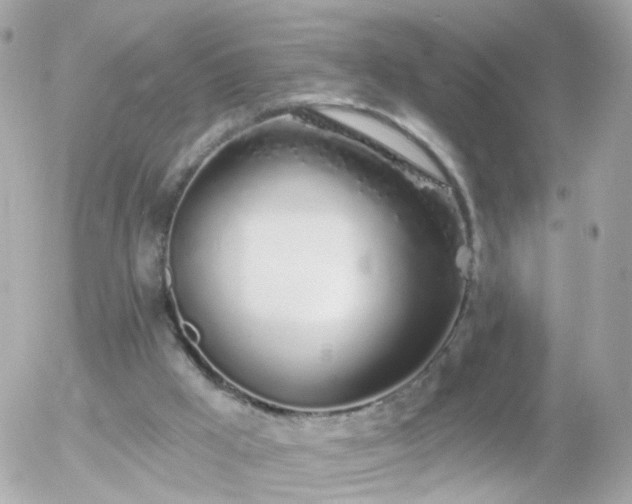 X0000056030009200508261918