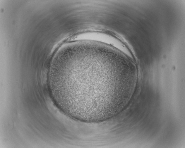 X0000056030010200508261918