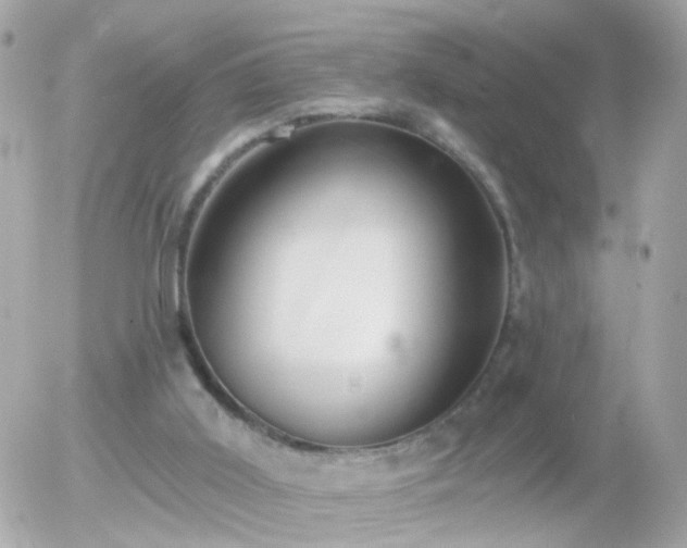 X0000056030011200508261918