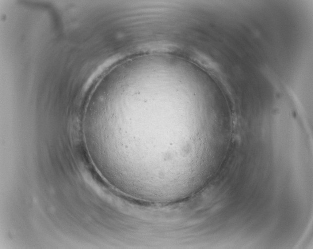 X0000056030012200508261918