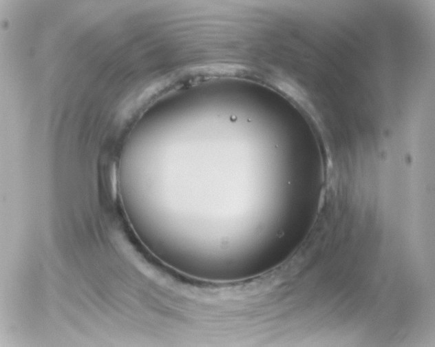 X0000056030013200508261918