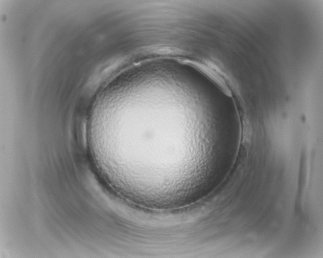 X0000056030014200508261918