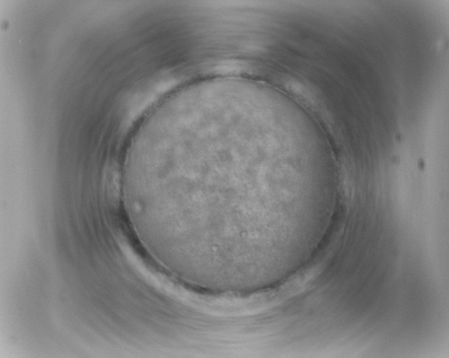 X0000056030016200508261918