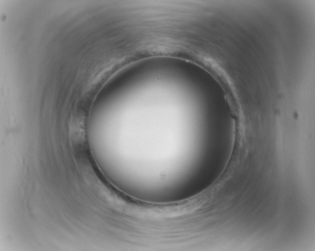 X0000056030017200508261918