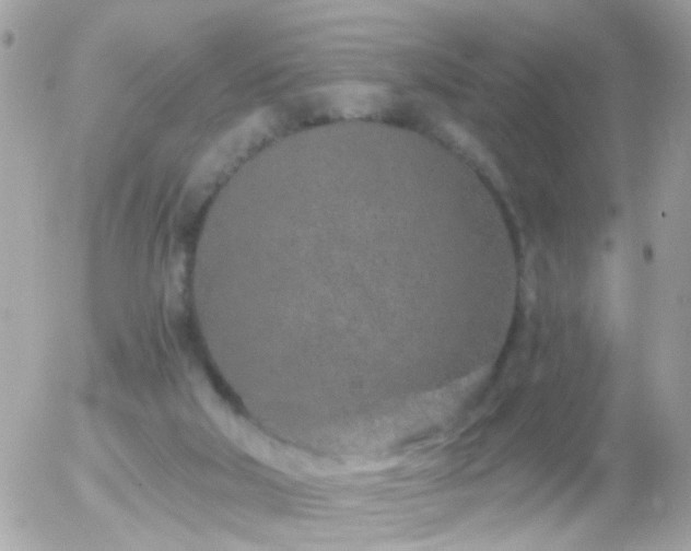 X0000056030018200508261918