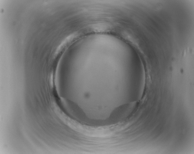 X0000056030019200508261918