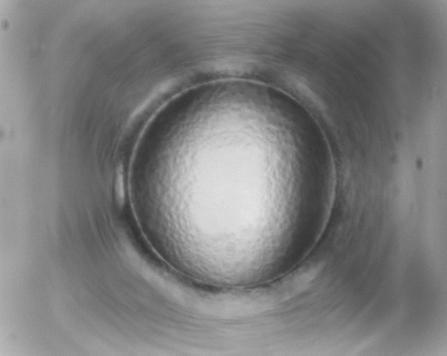 X0000056030020200508261918