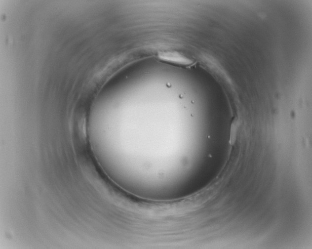 X0000056030021200508261918