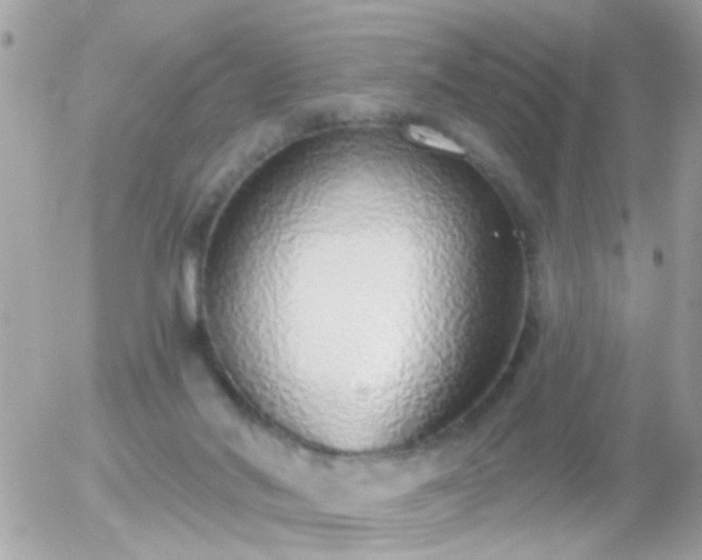 X0000056030022200508261918