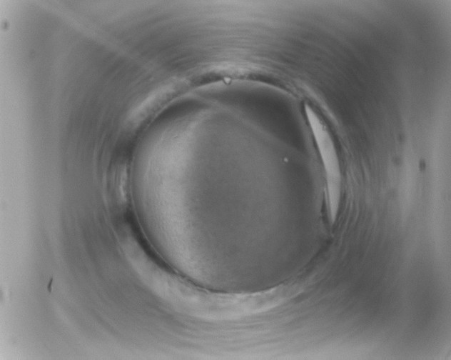 X0000056030023200508261918