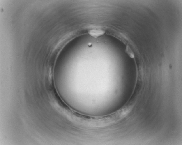 X0000056030024200508261918