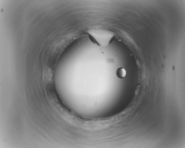 X0000056030025200508261918