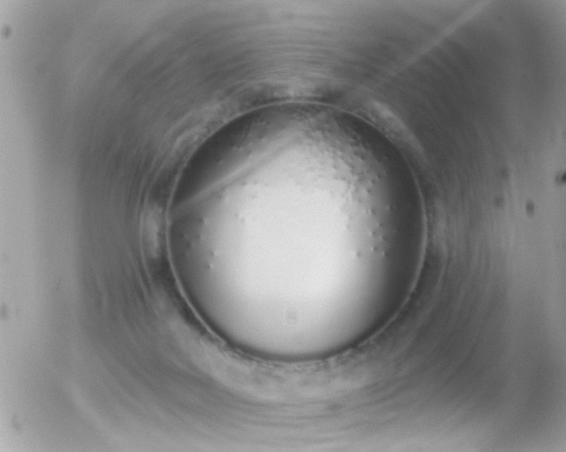 X0000056030026200508261918