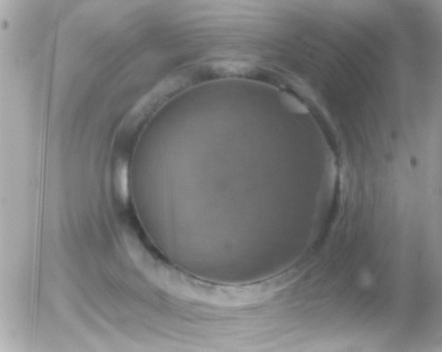 X0000056030027200508261918