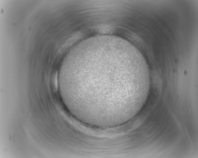 X0000056030028200508261918