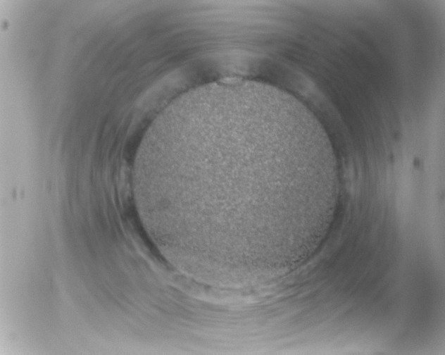 X0000056030029200508261918