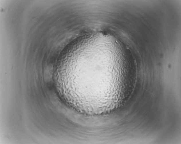 X0000056030030200508261918