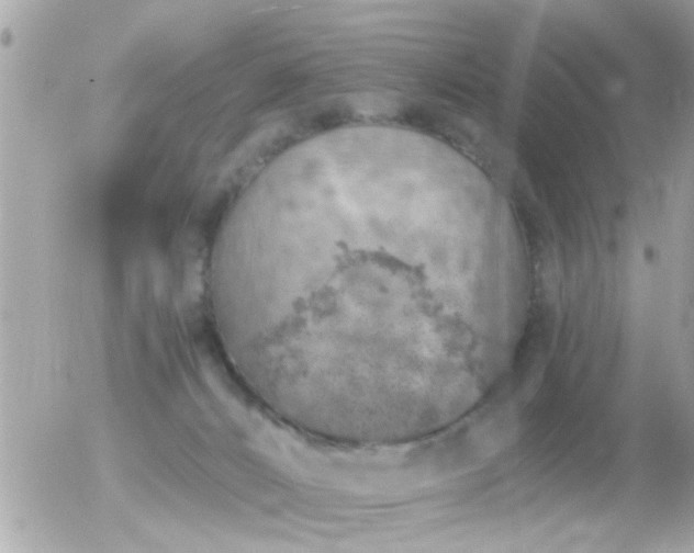 X0000056030032200508261918