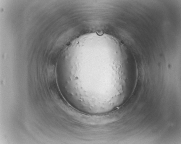 X0000056030034200508261918