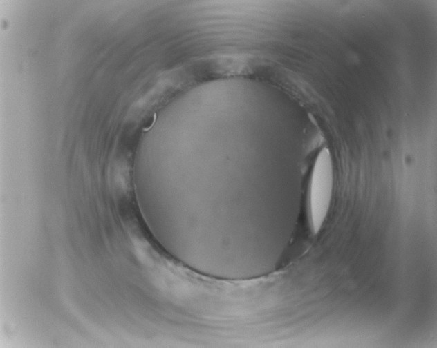 X0000056030035200508261918