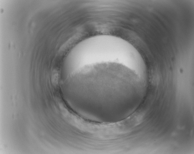 X0000056030036200508261918