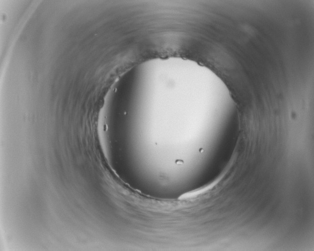 X0000056030037200508261918