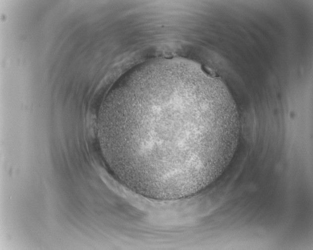 X0000056030038200508261918