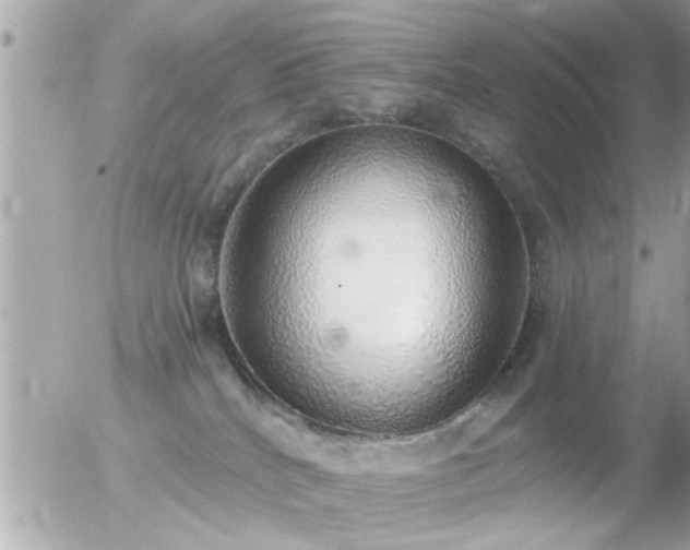 X0000056030040200508261918