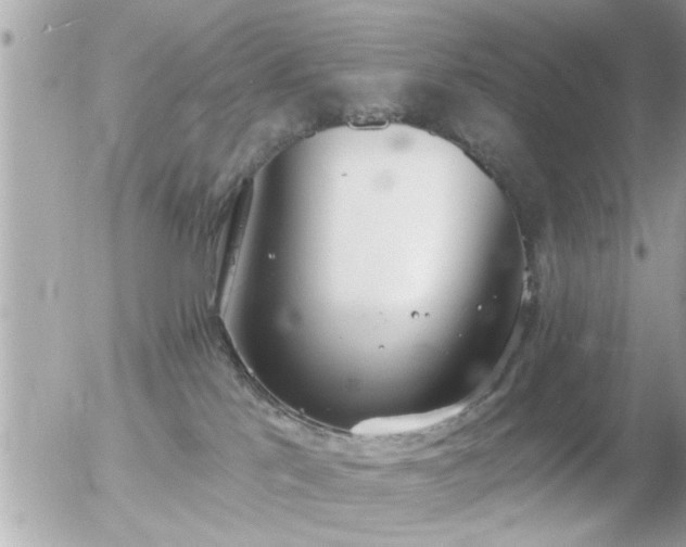 X0000056030041200508261918