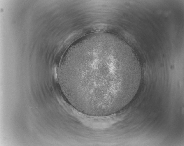 X0000056030042200508261918