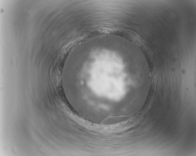 X0000056030043200508261918