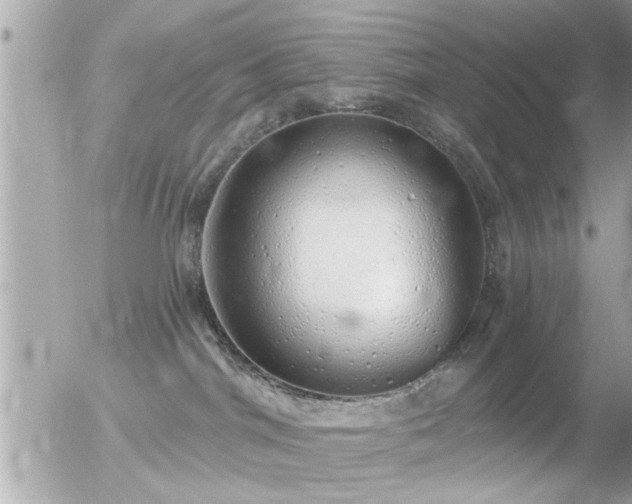 X0000056030044200508261918