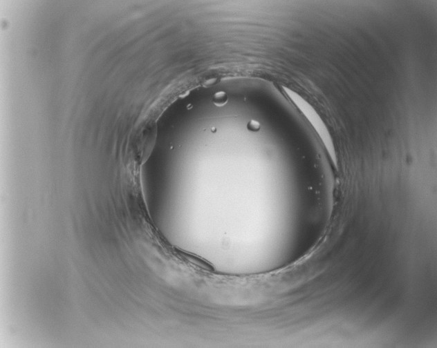 X0000056030045200508261918