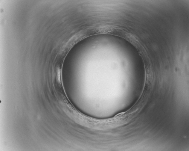 X0000056030046200508261918