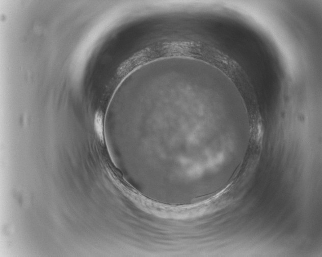 X0000056030047200508261918