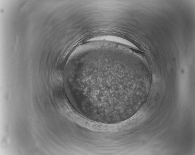 X0000056030048200508261918